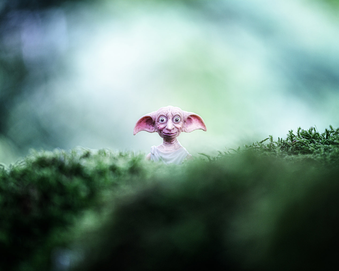 The Elf.