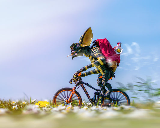 Little rascal. (mounted)
