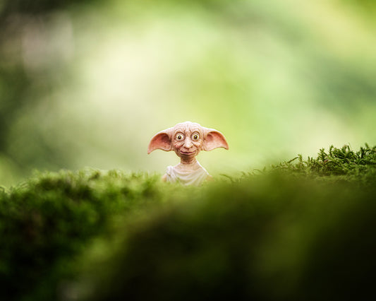 The Elf.